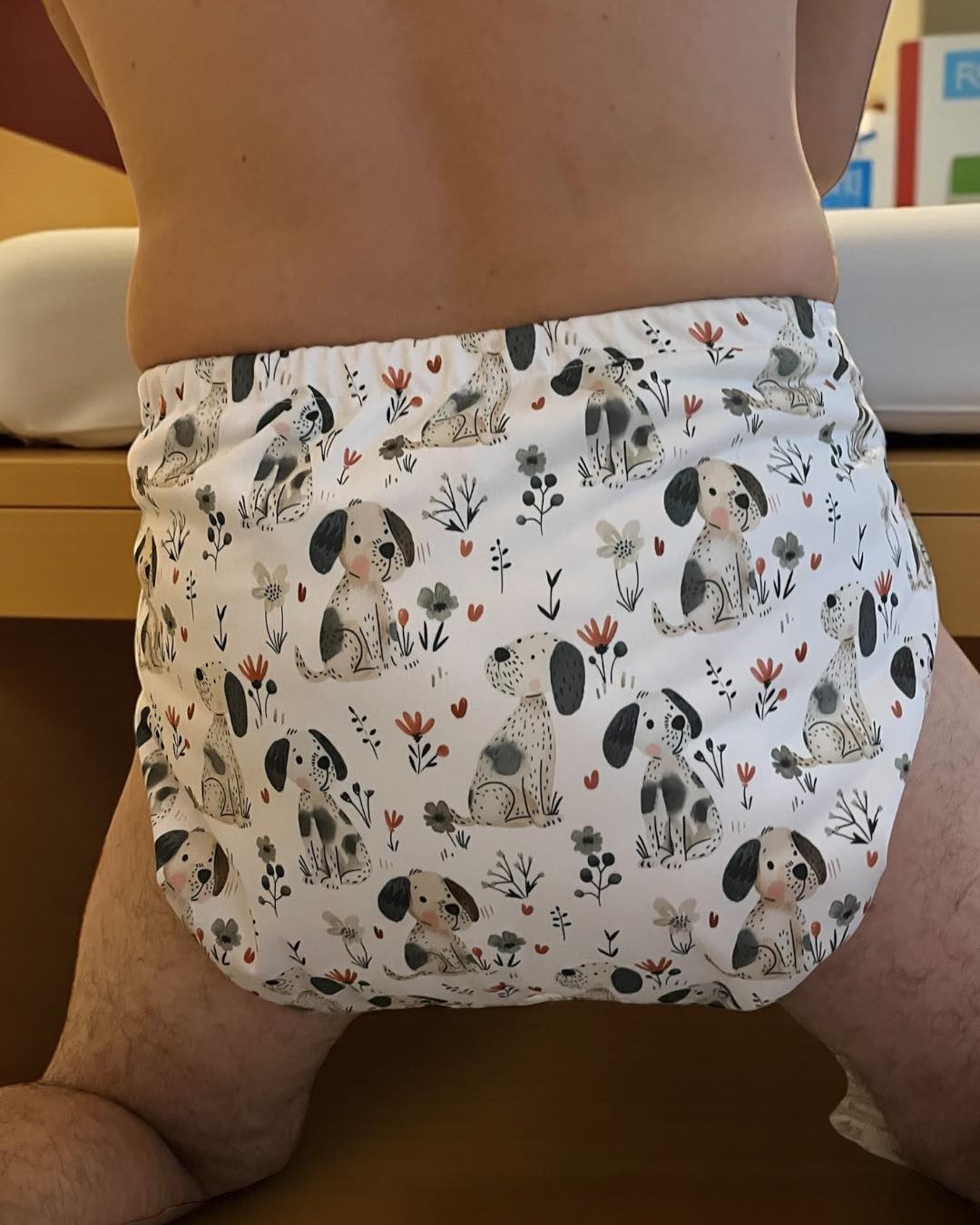 Diaper Cover / Swim Diaper